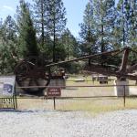 IMG_7542 (May 28, 2024)